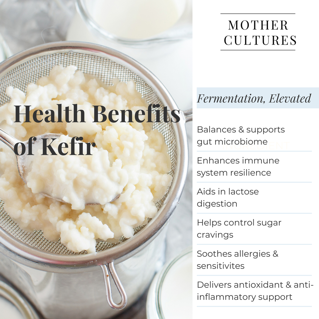Mother Cultures Premium Kefir Starter Kit