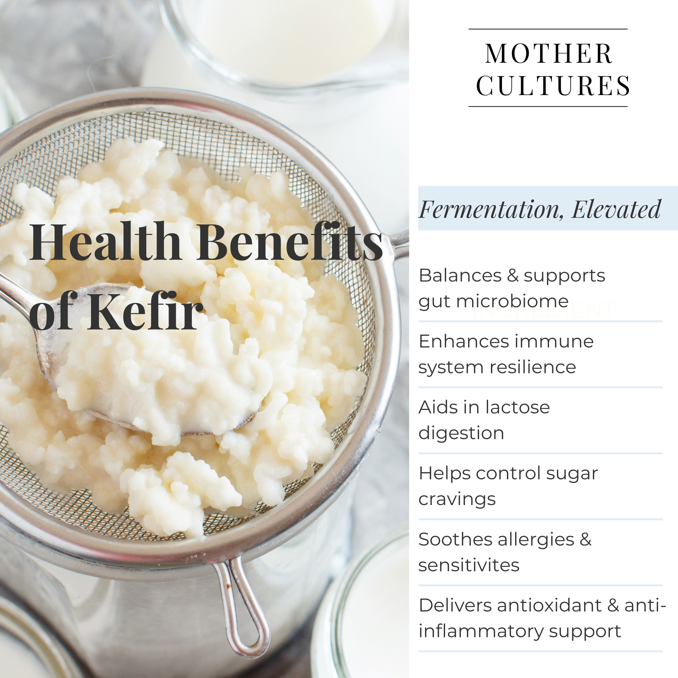 Mother Cultures Premium Kefir Starter Kit