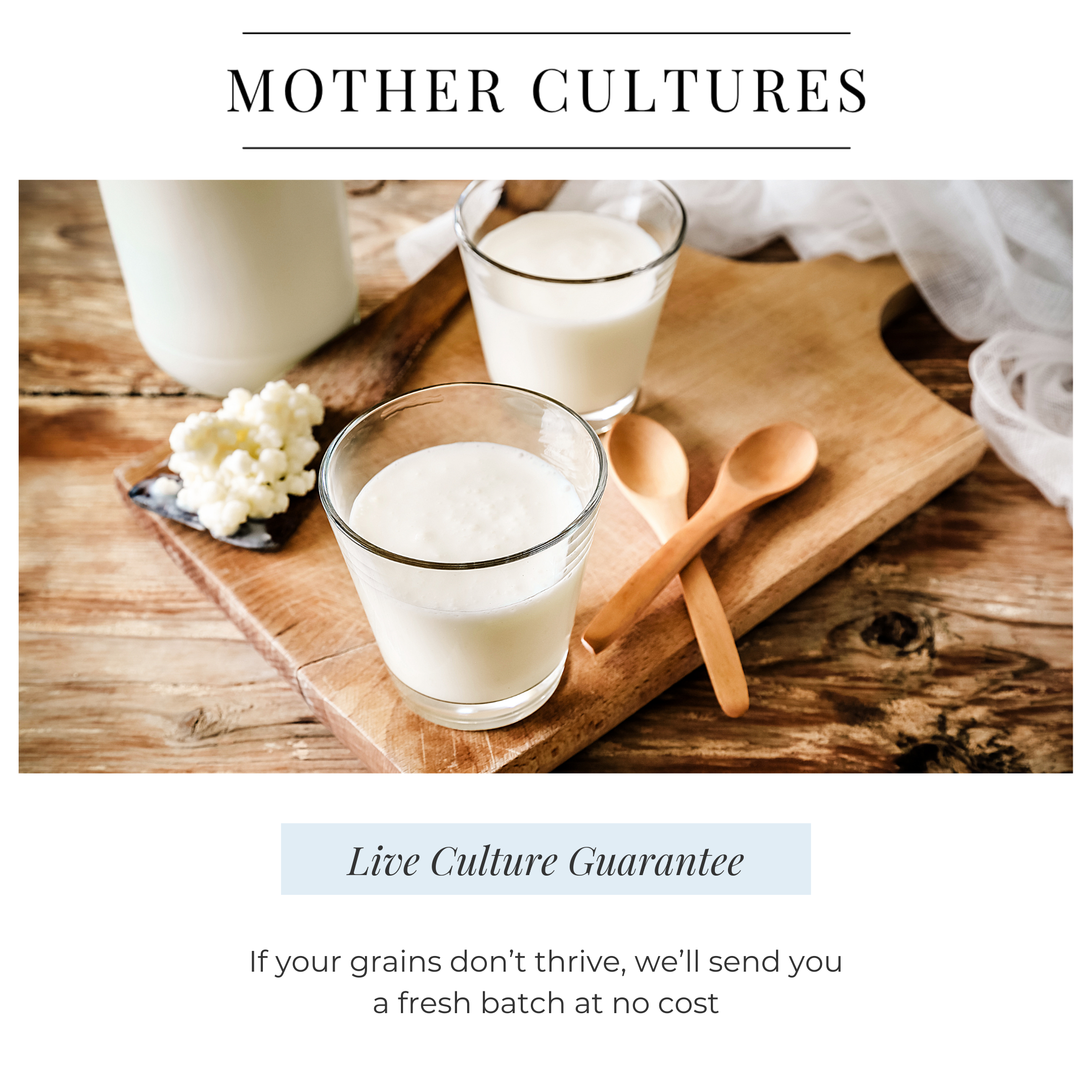Mother Cultures Premium Kefir Starter Kit