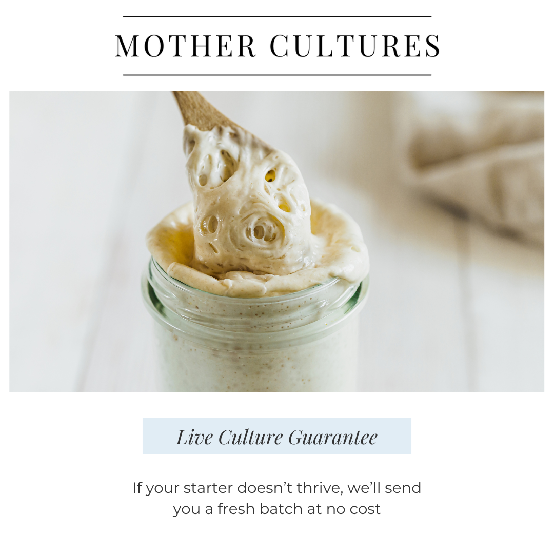 Mother Cultures Heirloom Sourdough Starter