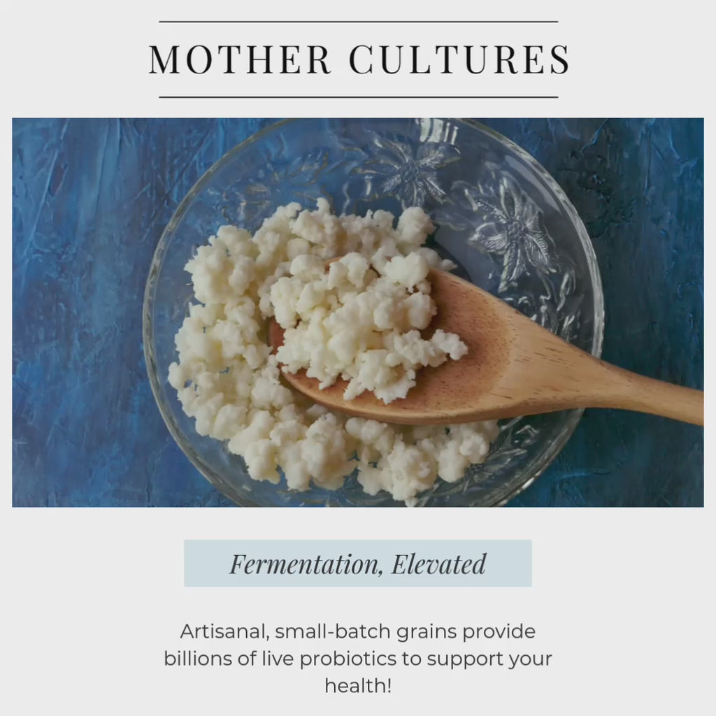 Mother Cultures Premium Kefir Starter Kit