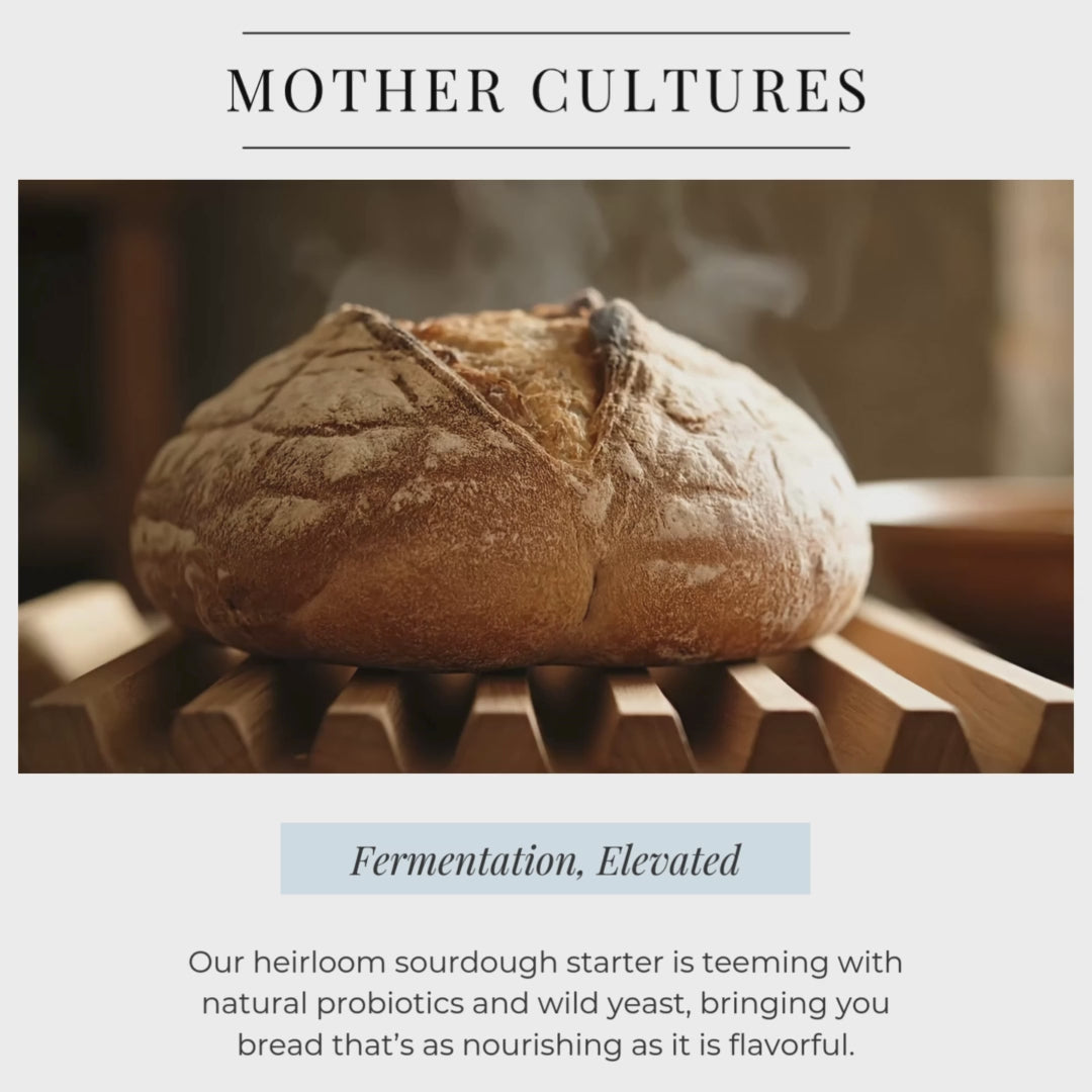 Mother Cultures Heirloom Sourdough Starter